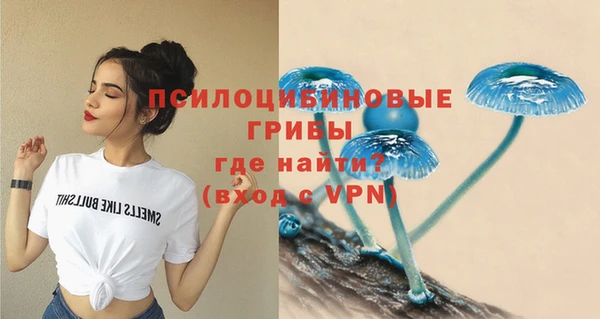 PSILOCYBIN Бугульма