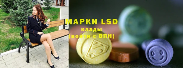 PSILOCYBIN Бугульма