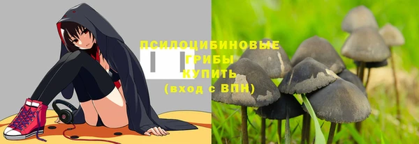PSILOCYBIN Бугульма