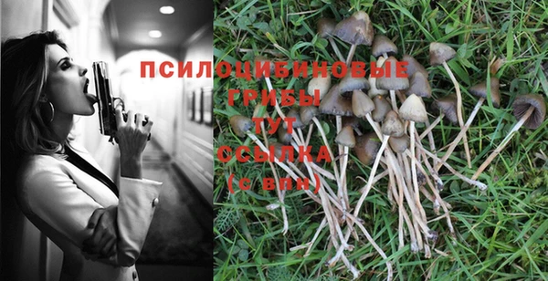 герыч Бородино