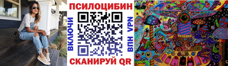 Псилоцибиновые грибы Psilocybe  Кольчугино 